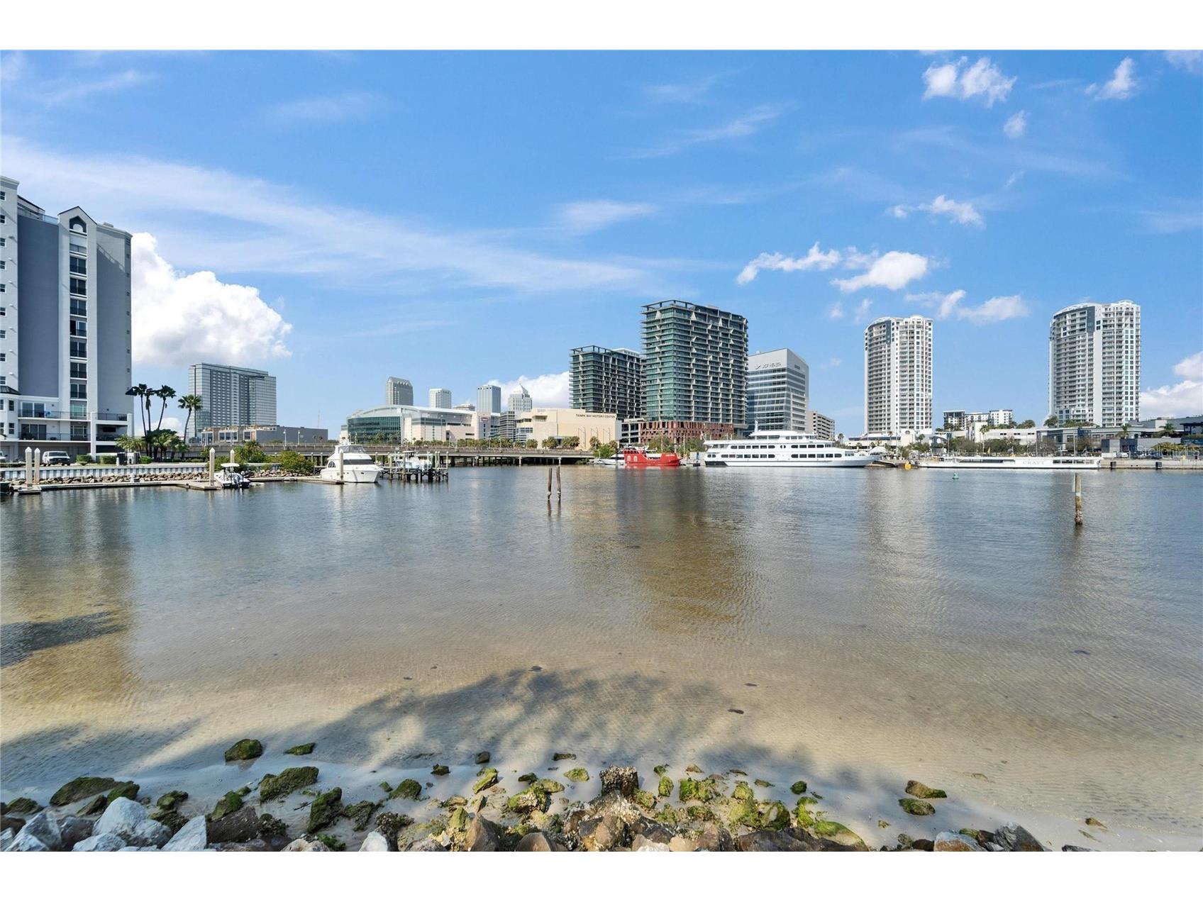 845 Normandy Trace Road Tampa FL 33602 TB8526652 image63