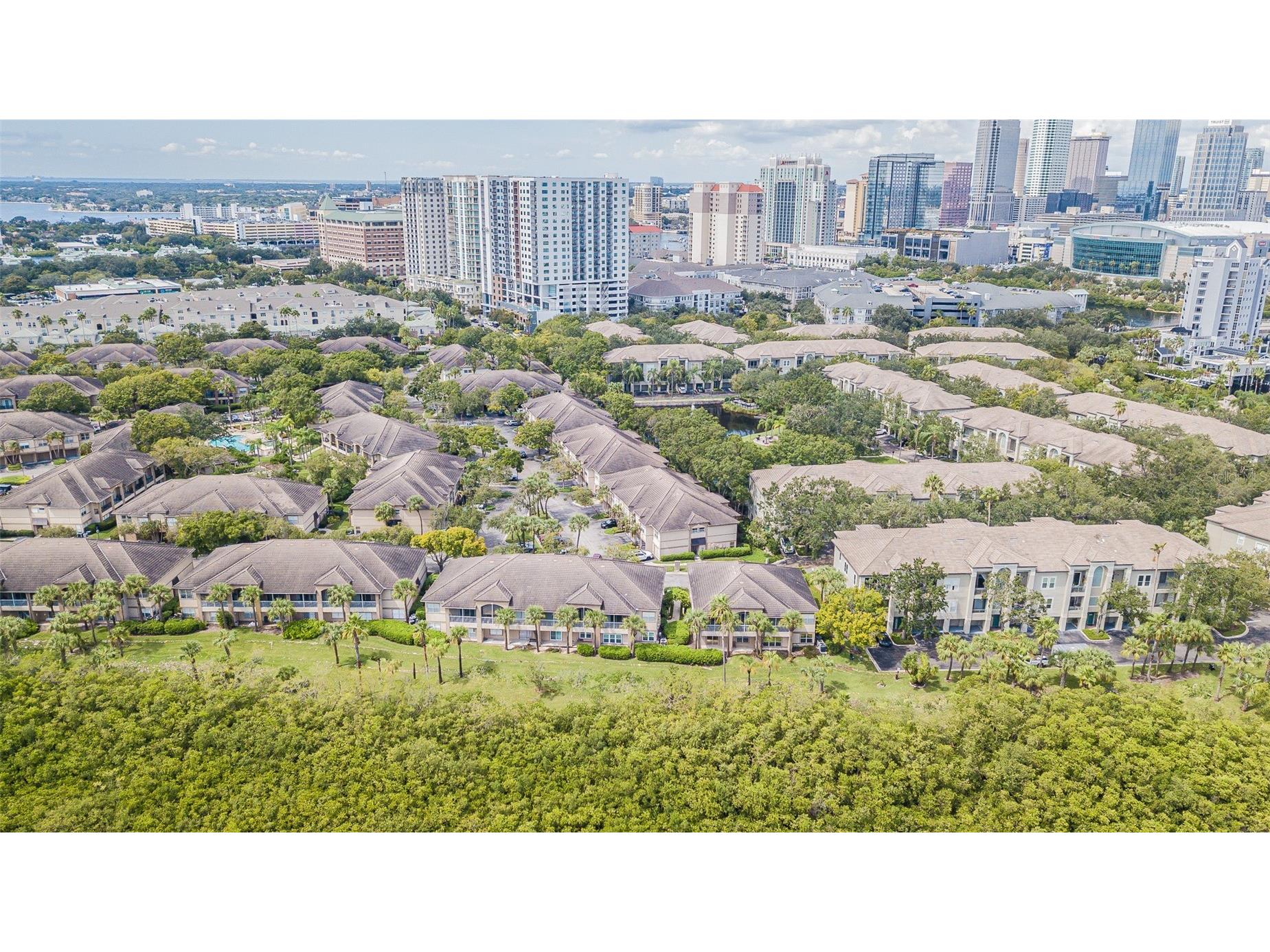 845 Normandy Trace Road Tampa FL 33602 TB8526652 image65