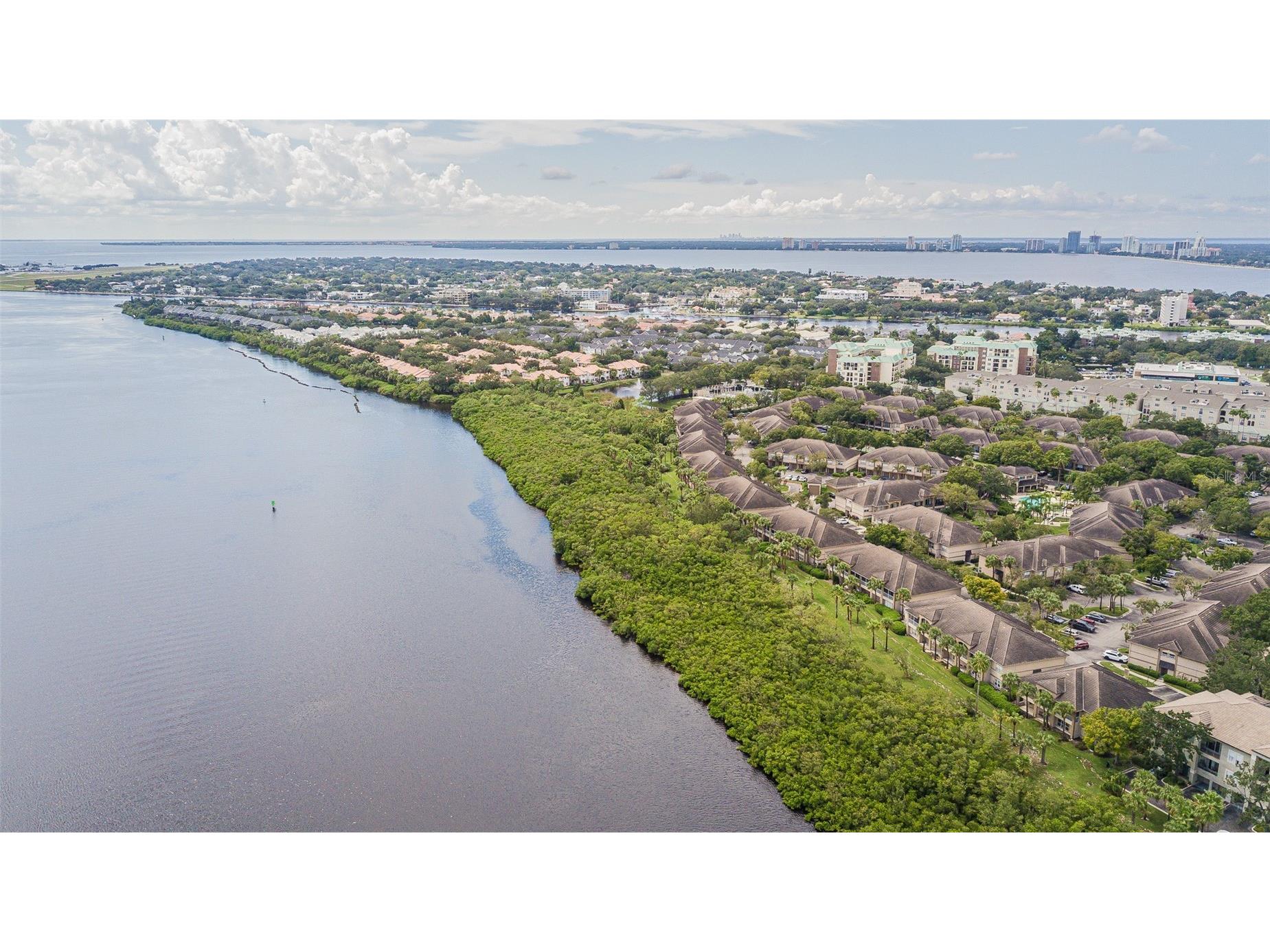 845 Normandy Trace Road Tampa FL 33602 TB8526652 image66