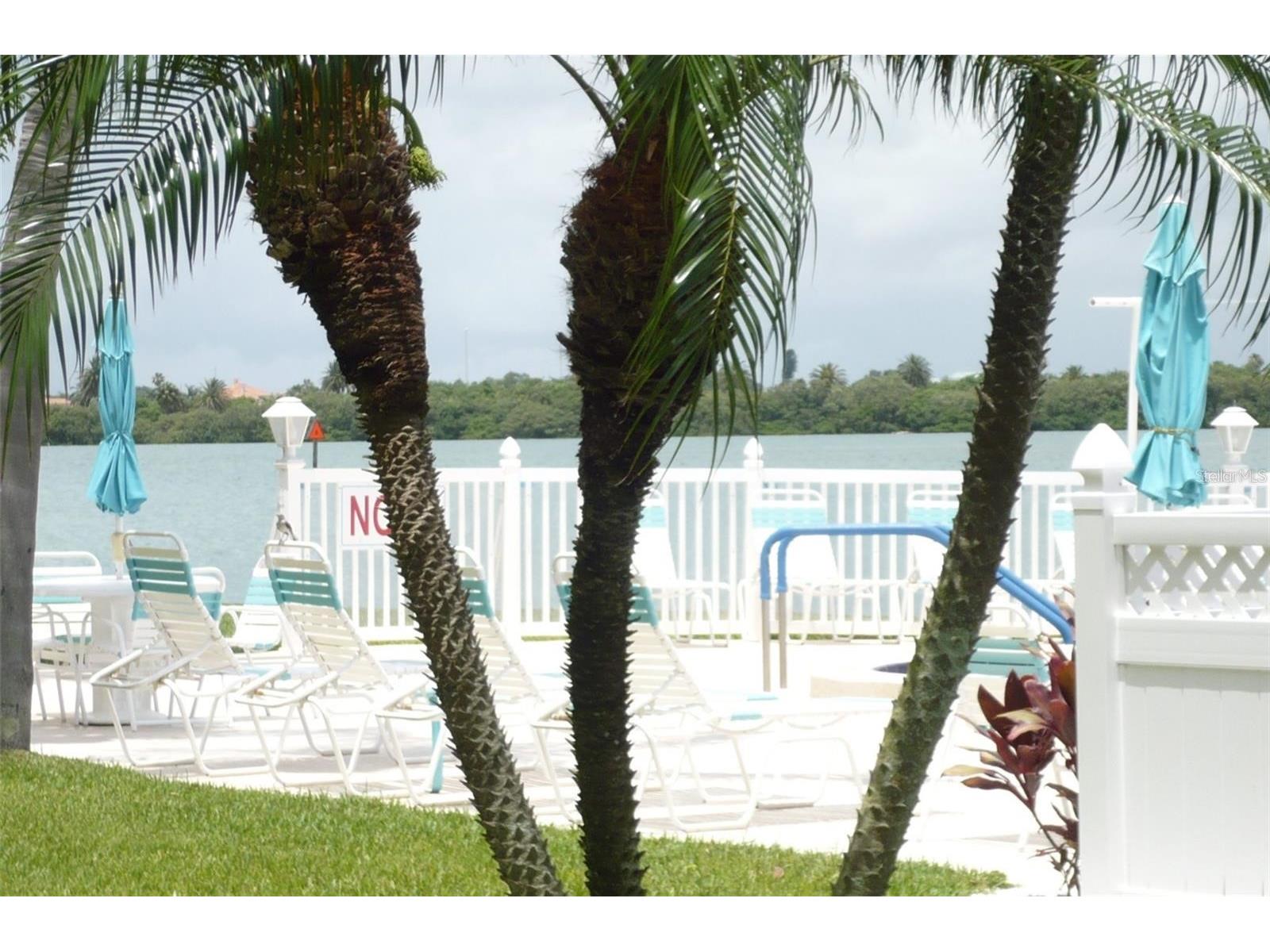 845 S Gulfview Boulevard #110 Clearwater Beach FL 33767 TB8489332 image24