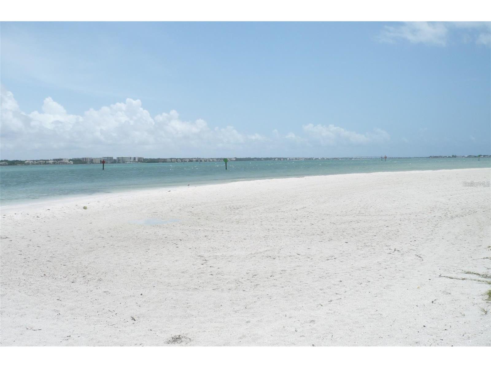 845 S Gulfview Boulevard #110 Clearwater Beach FL 33767 TB8489332 image33