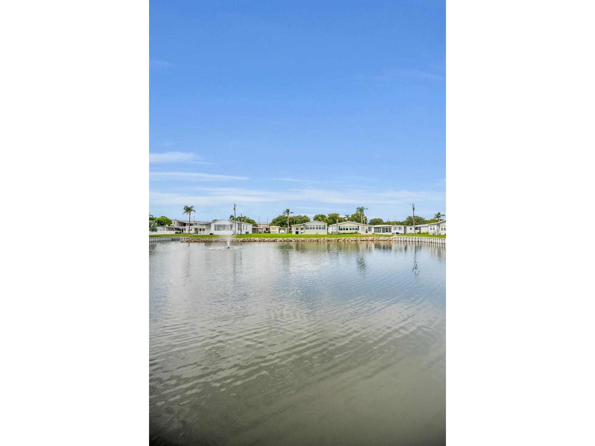845 Sky Loch Drive S Dunedin FL 34698 TB8532132 image35