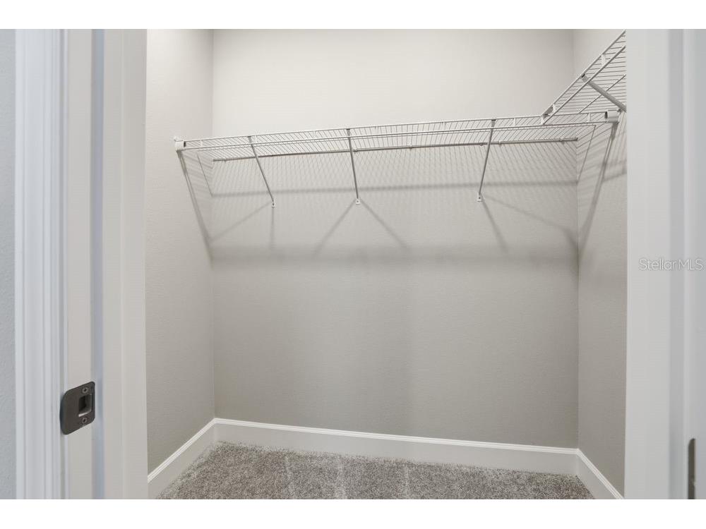 845 Steel Drive Apollo Beach FL 33572 TB8381118 image19