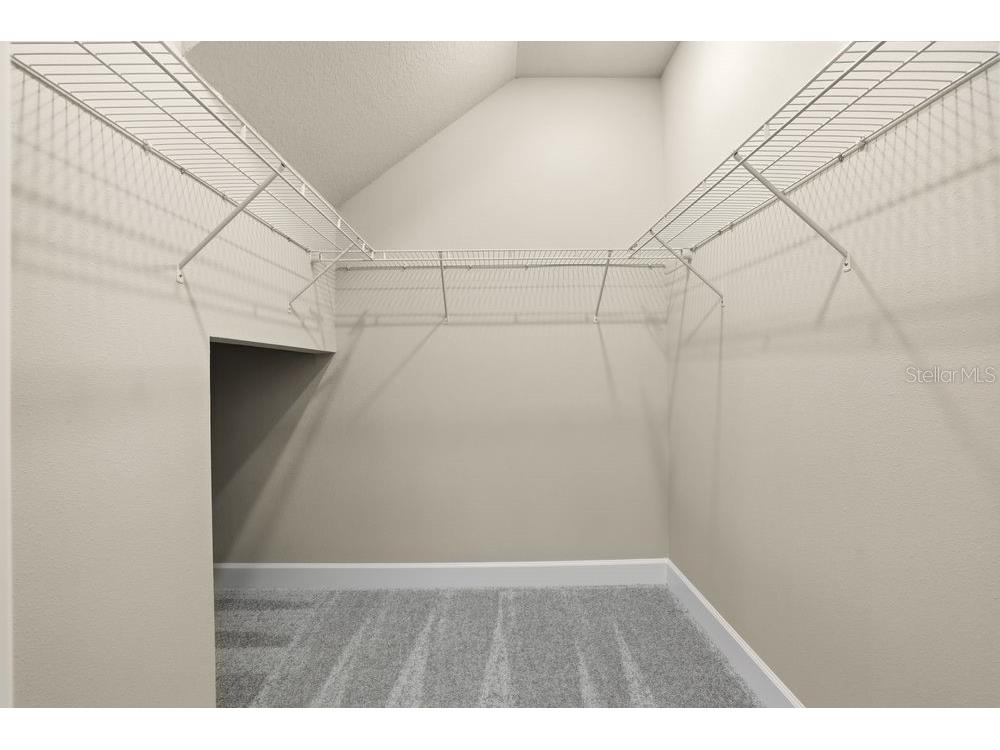 845 Steel Drive Apollo Beach FL 33572 TB8381118 image20