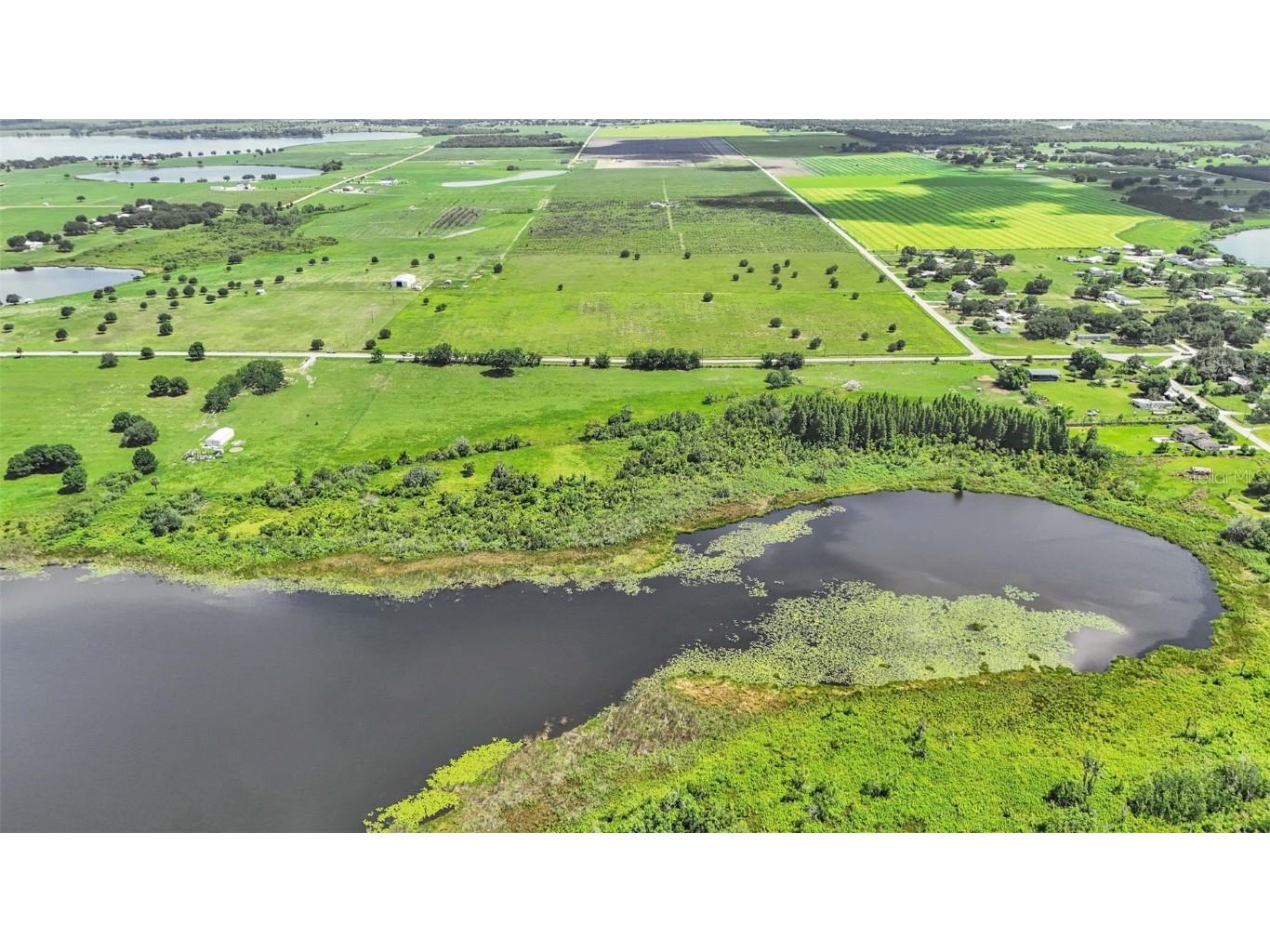 8450 Alturas Babson Park Cutoff Road Bartow FL 33830 S5126479 image3