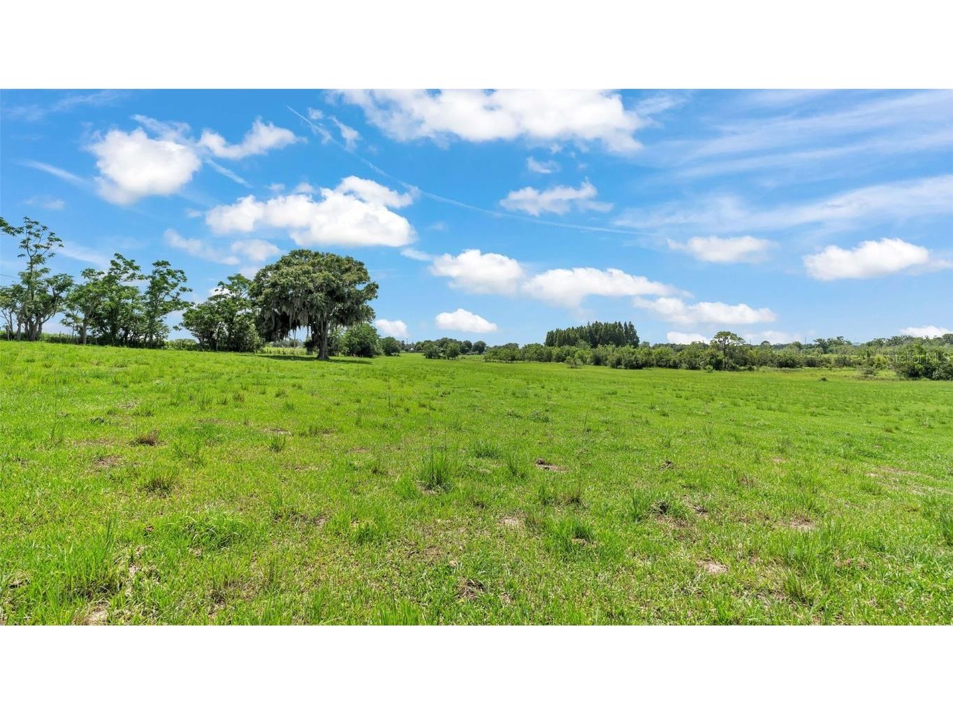 8450 Alturas Babson Park Cutoff Road Bartow FL 33830 S5126479 image5