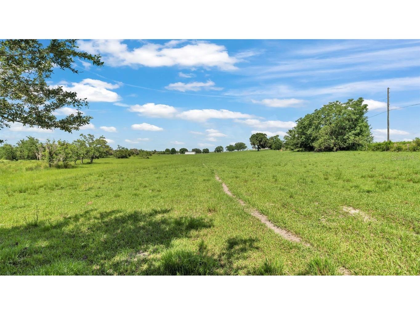 8450 Alturas Babson Park Cutoff Road Bartow FL 33830 S5126479 image6