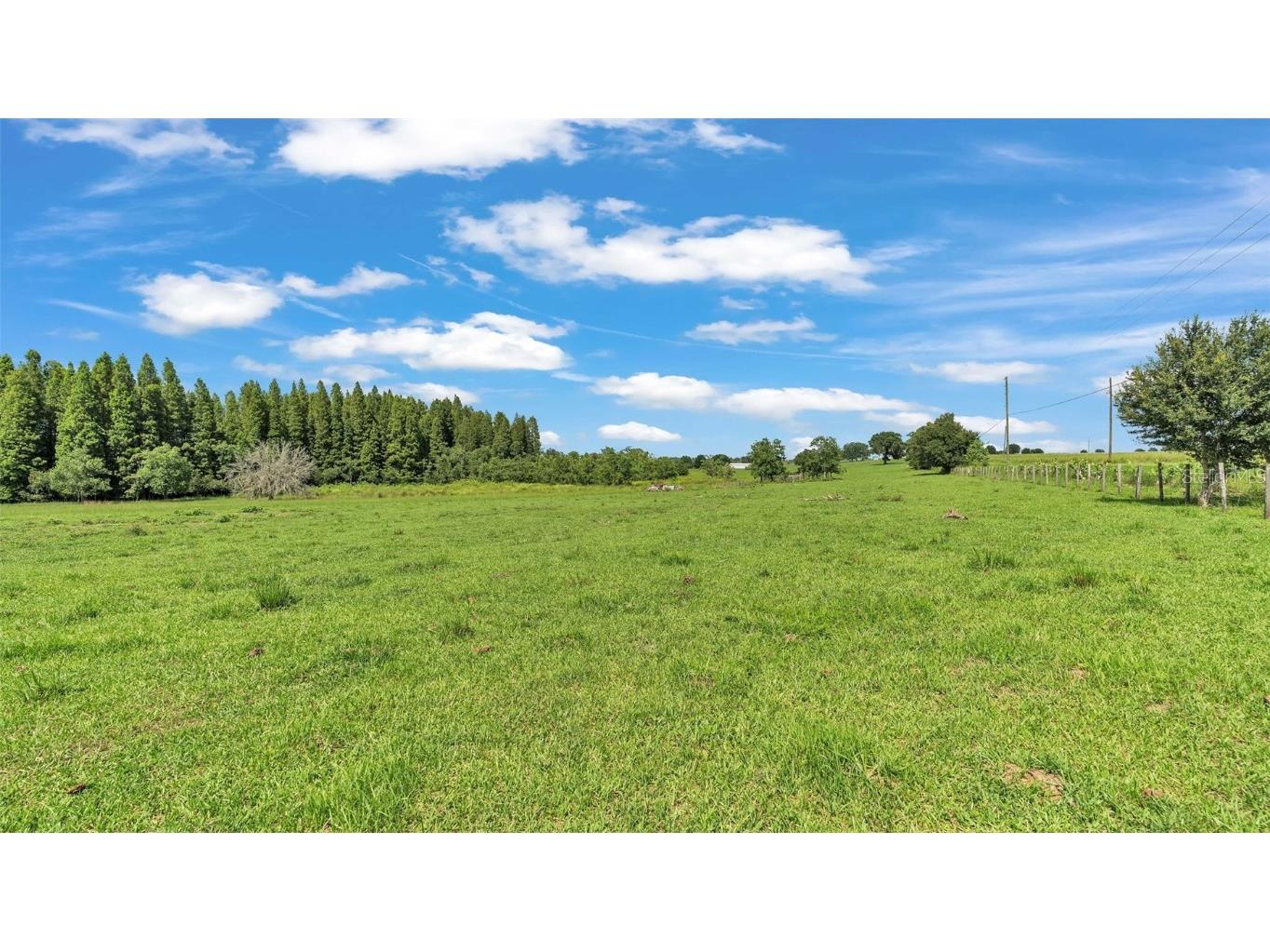 8450 Alturas Babson Park Cutoff Road Bartow FL 33830 S5126479 image7