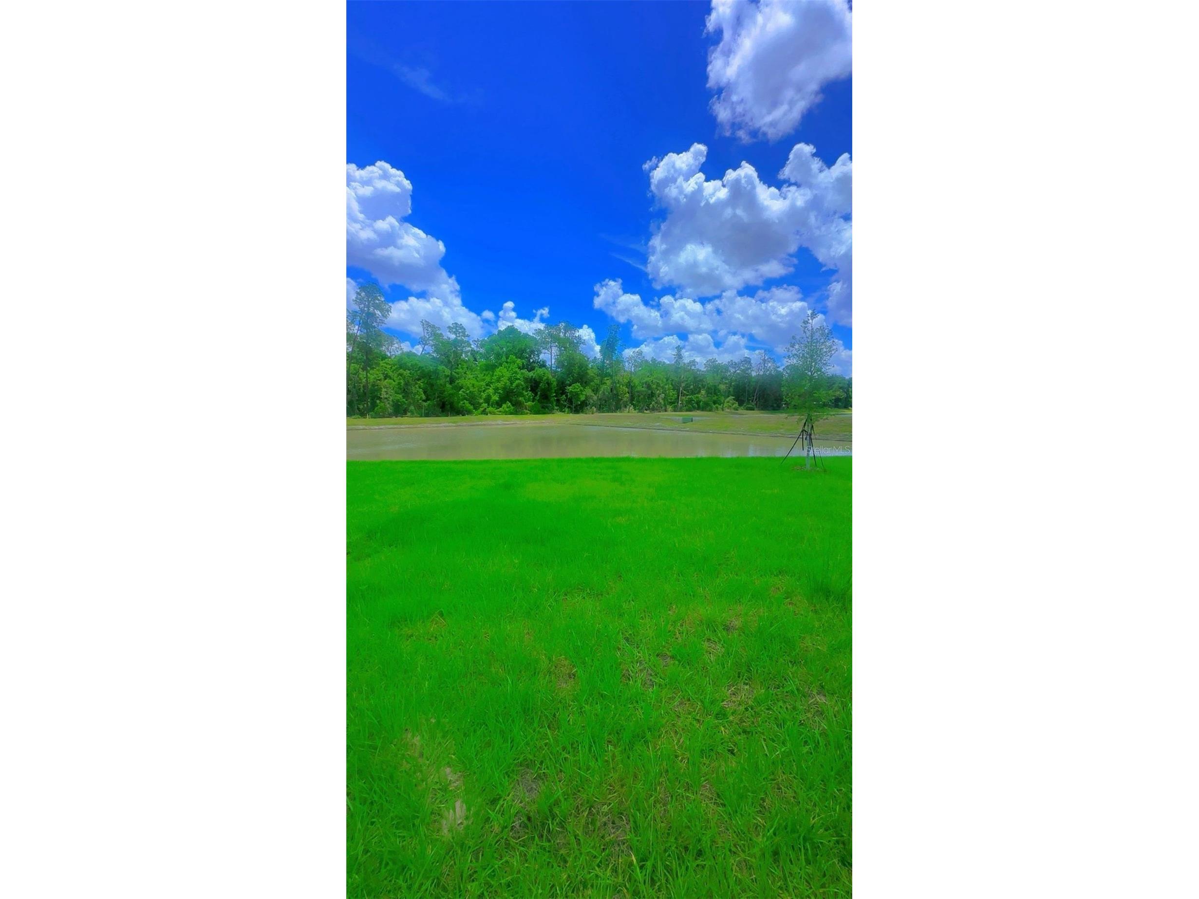 8451 Madrid Street Lakeland FL 33810 TB8525310 image37