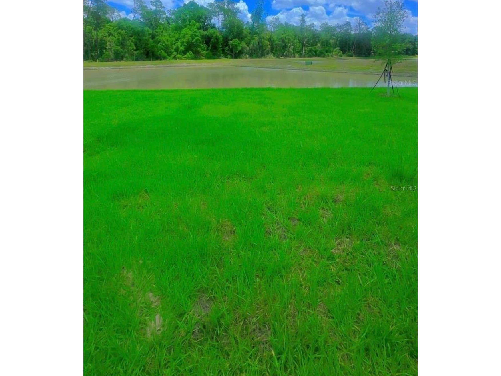 8451 Madrid Street Lakeland FL 33810 TB8525310 image38