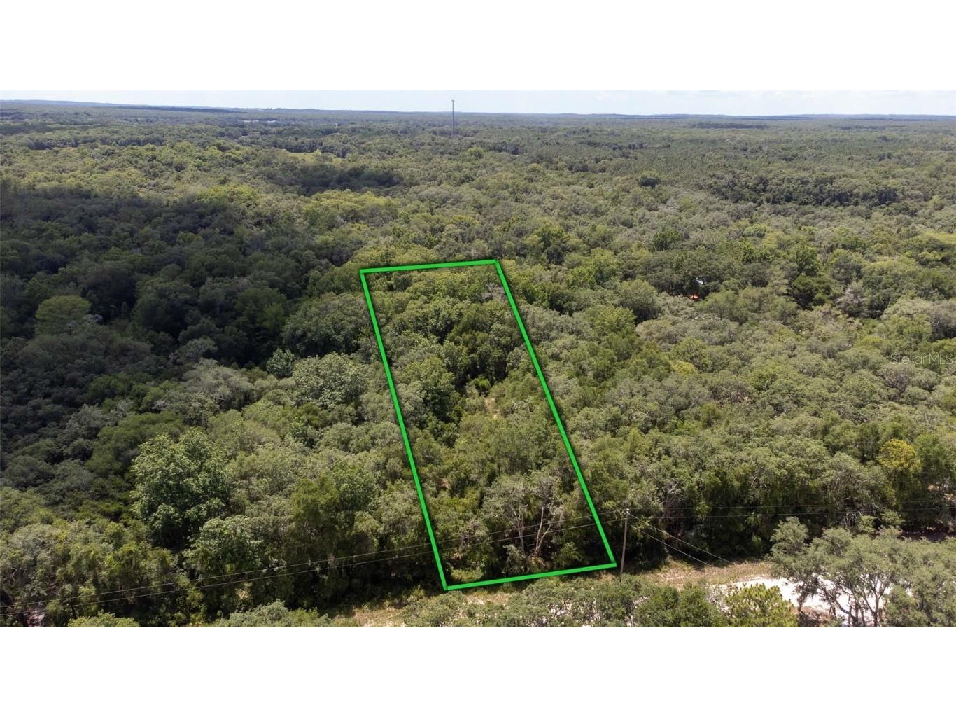 8451 Stone Drive Webster FL 33597 - WITHLACOOCHEE RIVER T3444720 image1