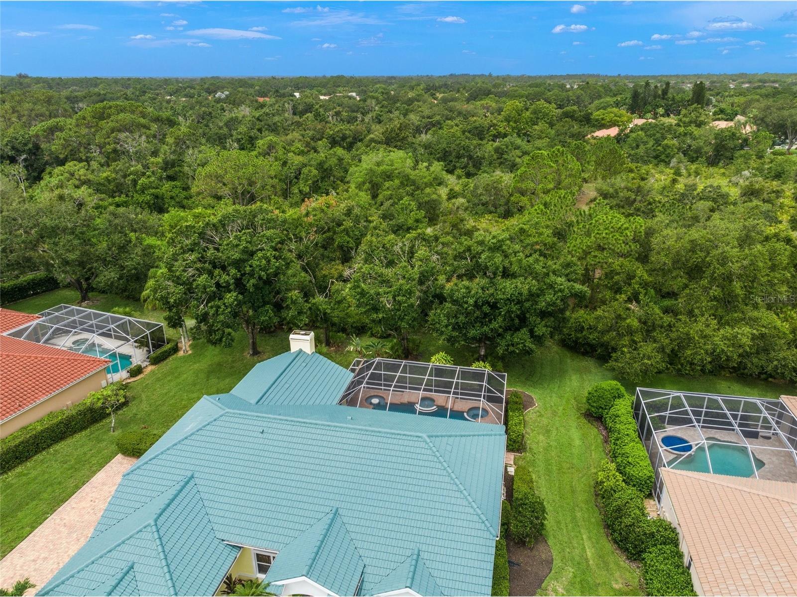 8452 Eagle Preserve Way Sarasota FL 34241 A4682732 image43