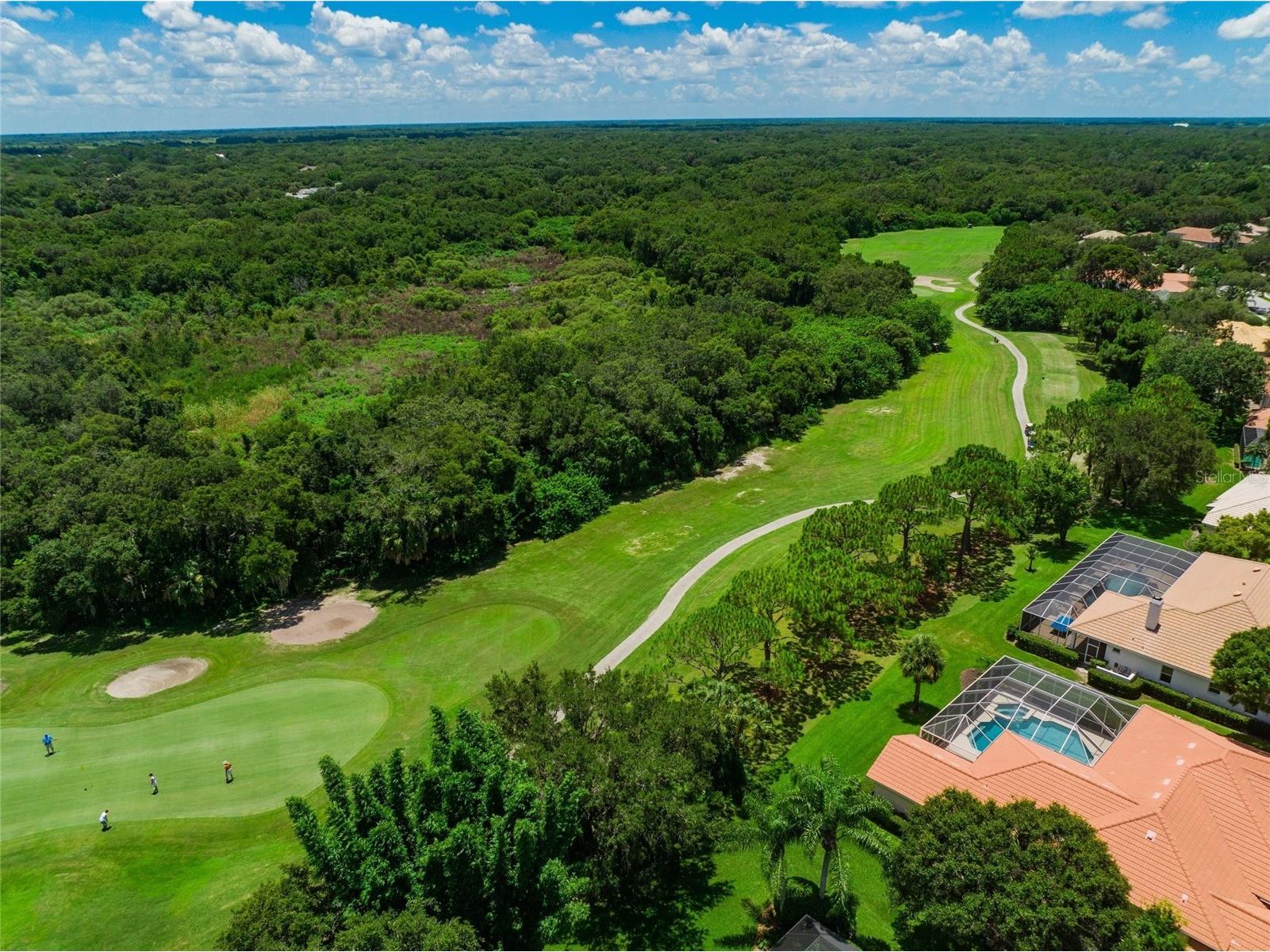 8452 Eagle Preserve Way Sarasota FL 34241 A4682732 image47