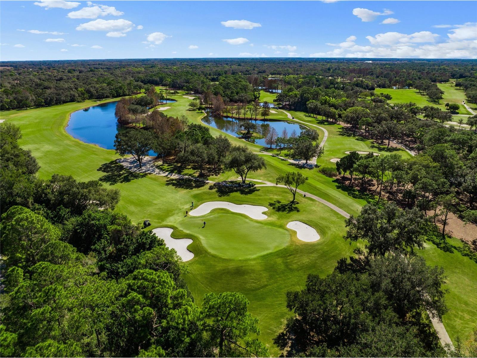 8452 Eagle Preserve Way Sarasota FL 34241 A4682732 image49