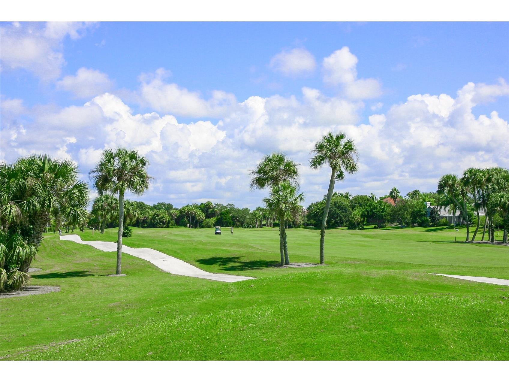 8452 Eagle Preserve Way Sarasota FL 34241 A4682732 image65