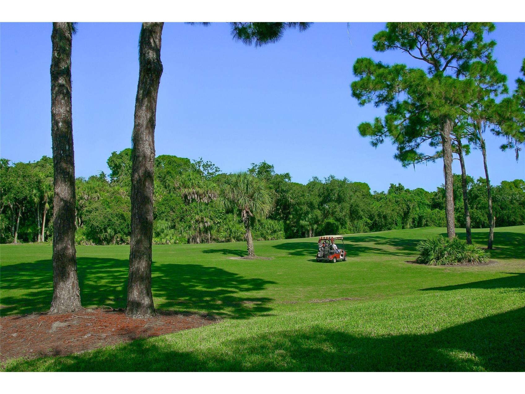 8452 Eagle Preserve Way Sarasota FL 34241 A4682732 image69