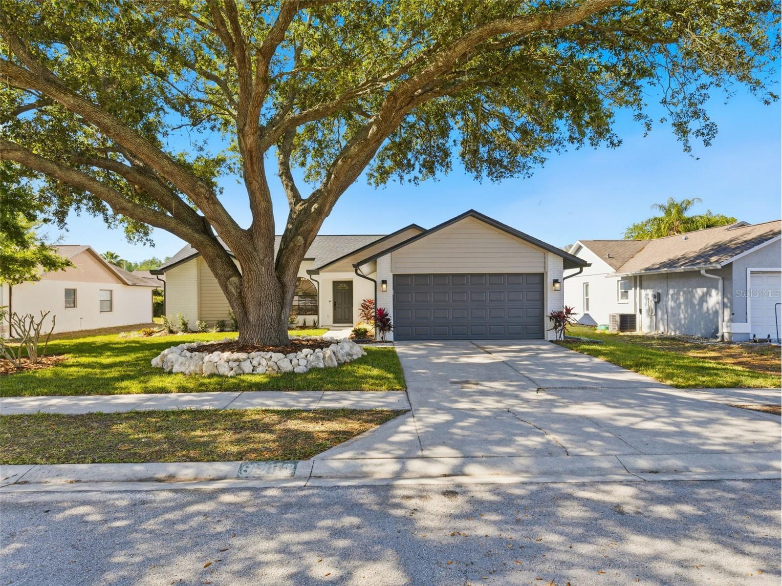 8452 Yearling Lane New Port Richey FL 34653 TB8498111 image3
