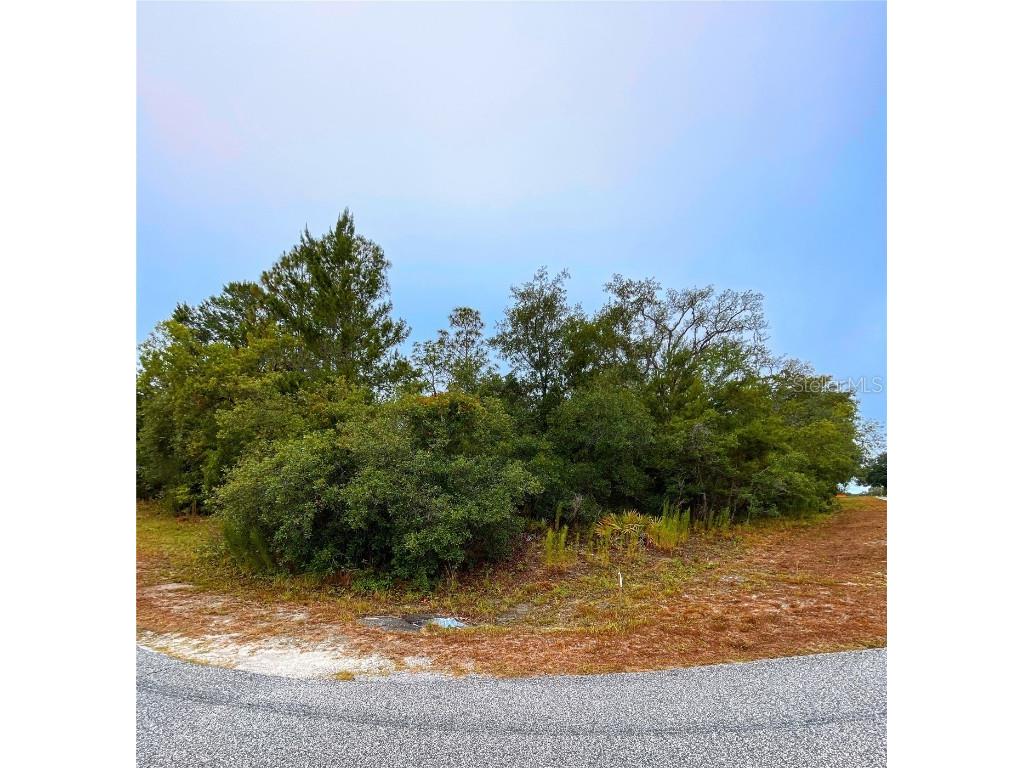 8453 Christopher Lane Weeki Wachee FL 34613 W7865716 image1