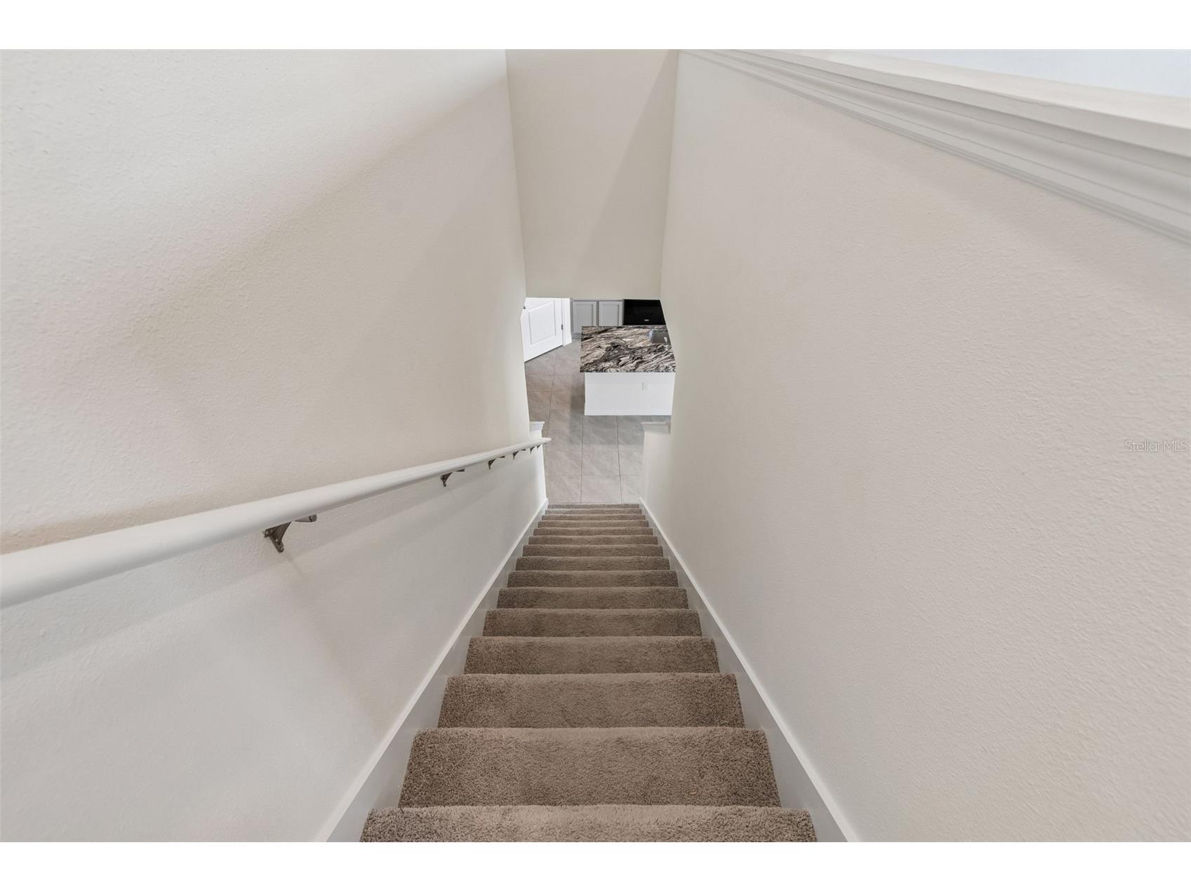 8454 Ender Hills Drive Wesley Chapel FL 33545 TB8471910 image40