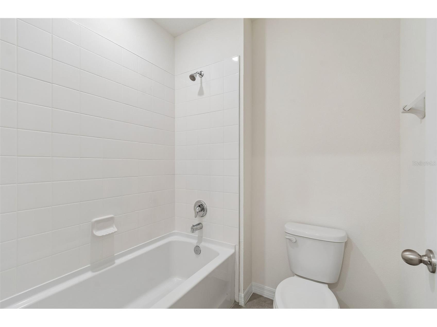 8454 Ender Hills Drive Wesley Chapel FL 33545 TB8471910 image56