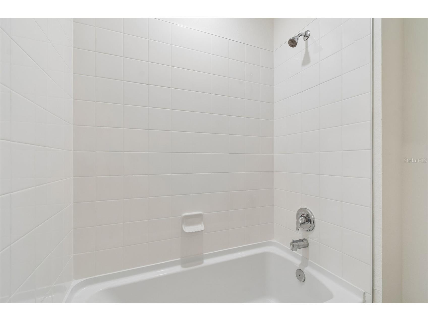 8454 Ender Hills Drive Wesley Chapel FL 33545 TB8471910 image57