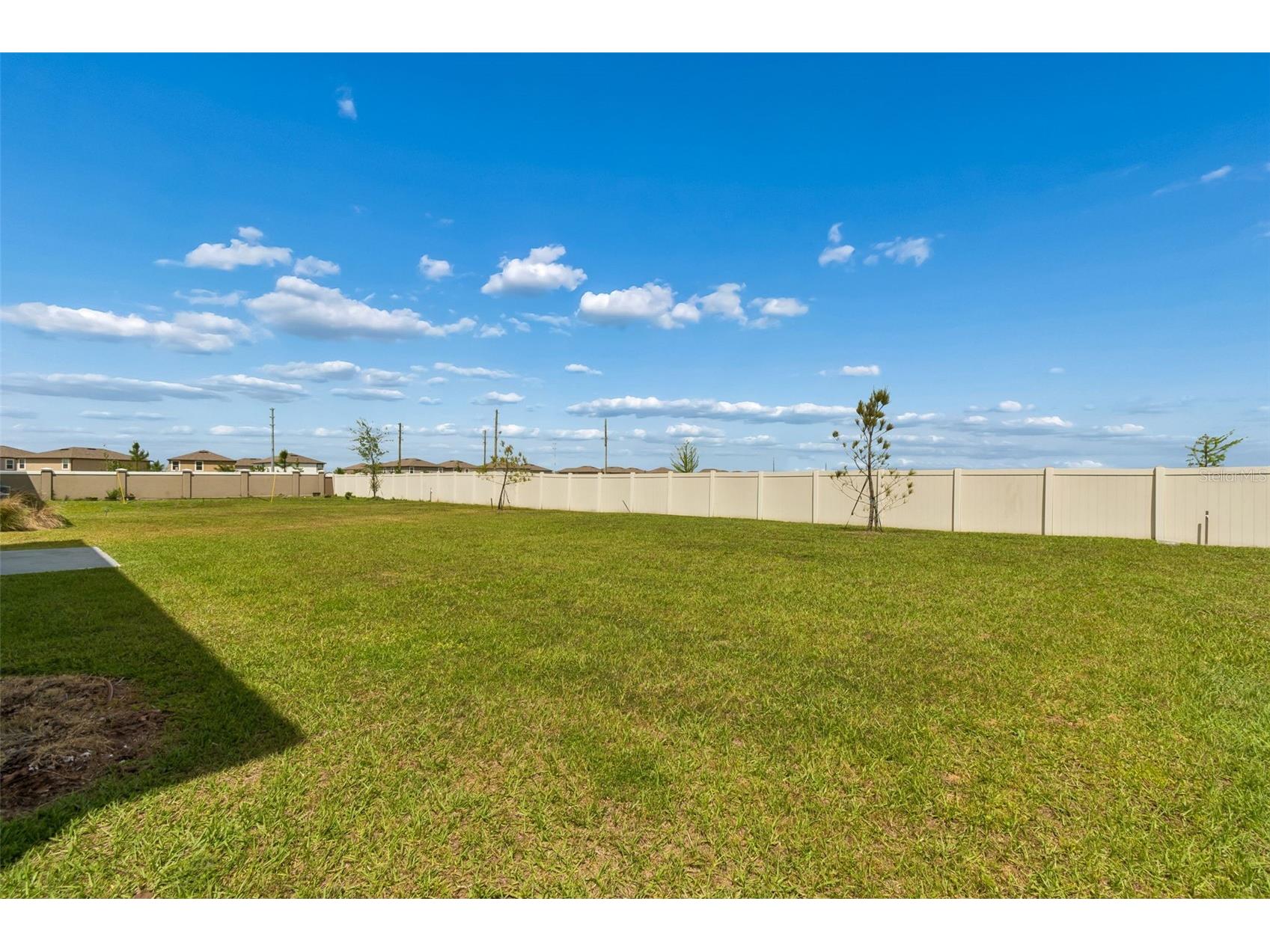 8454 Ender Hills Drive Wesley Chapel FL 33545 TB8524901 image80