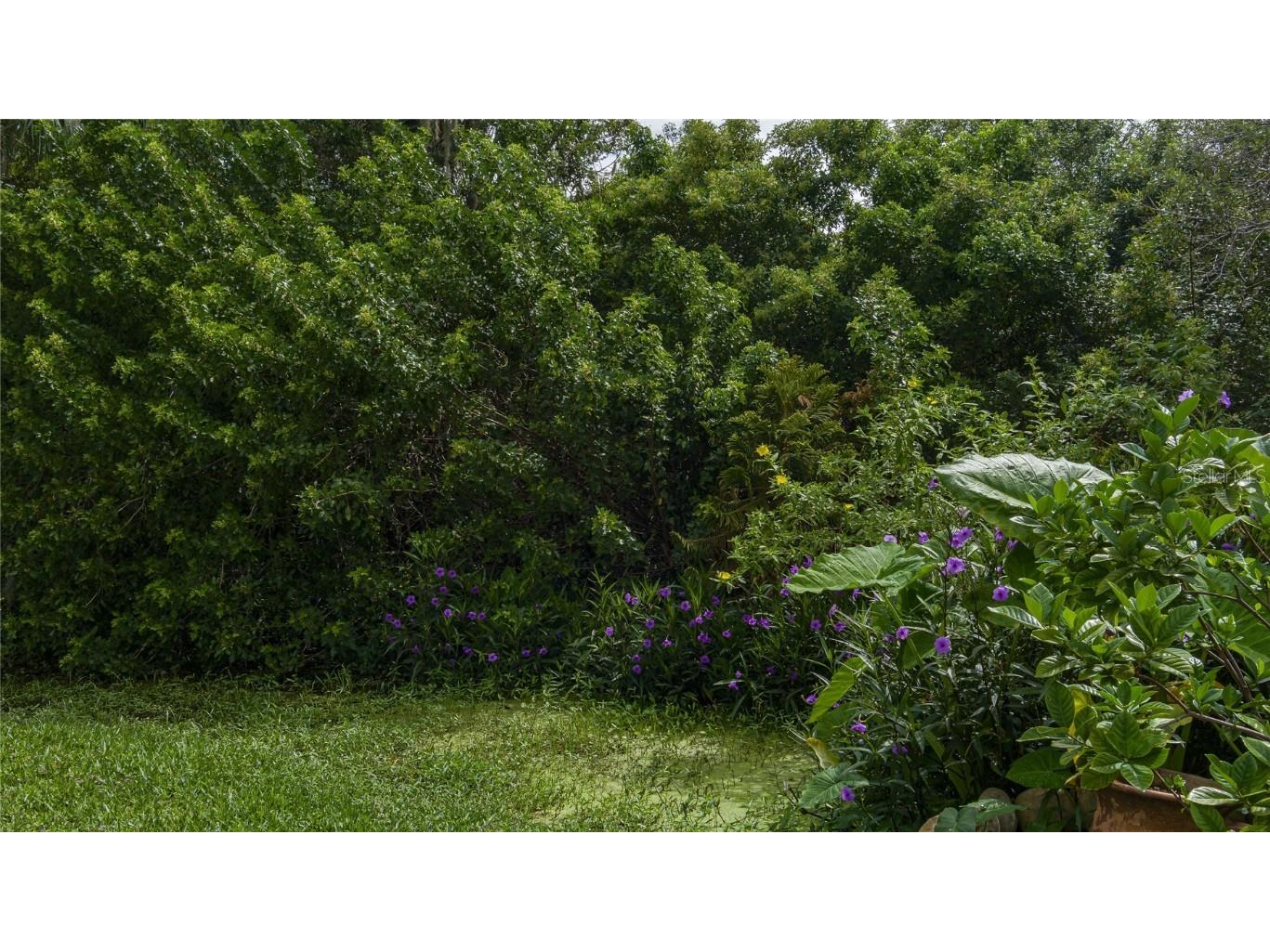 8454 Imperial Circle Palmetto FL 34221 A4625413 image34