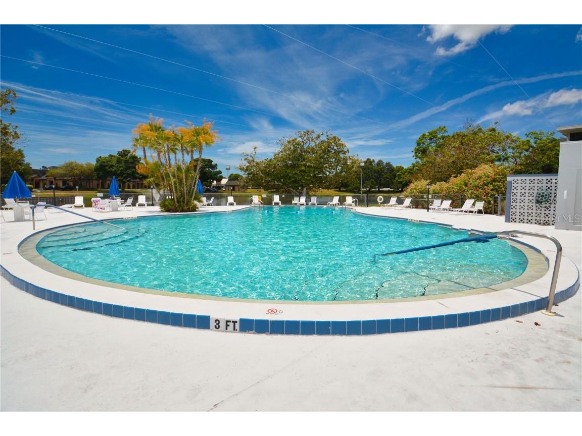 8455 112th Street #212 Seminole FL 33772 TB8387070 image17