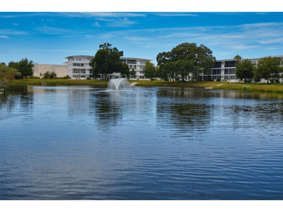 8455 112th Street #212 Seminole FL 33772 TB8387070 image21