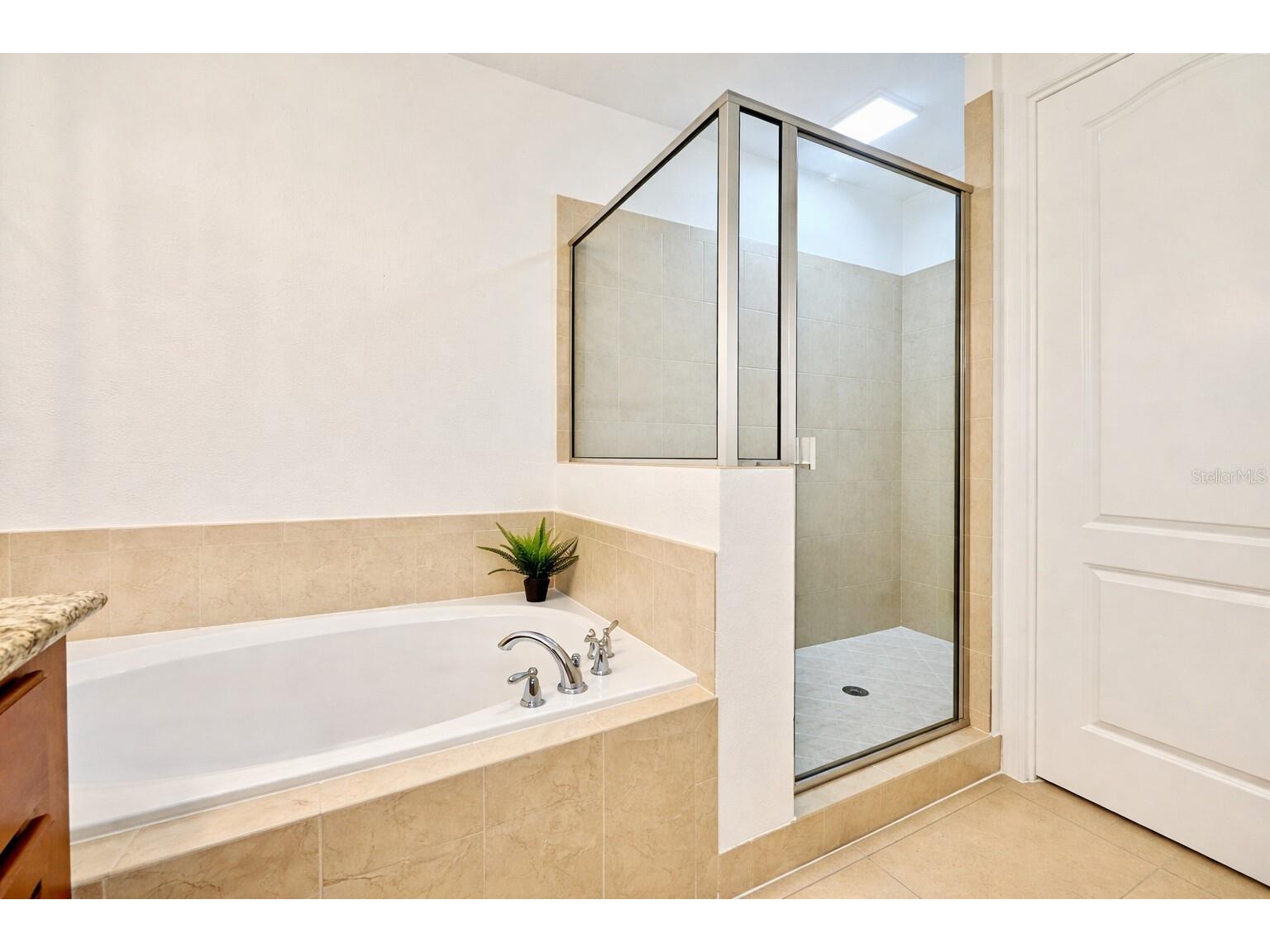 8458 Kelsall Drive Orlando FL 32832 O6425173 image21