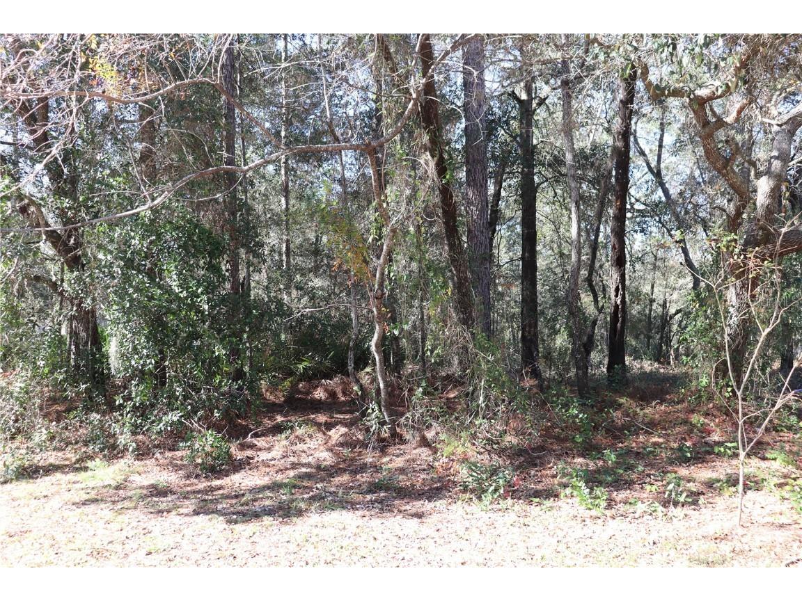 8458 N Bolder Drive Citrus Springs FL 34434 W7860482 image1