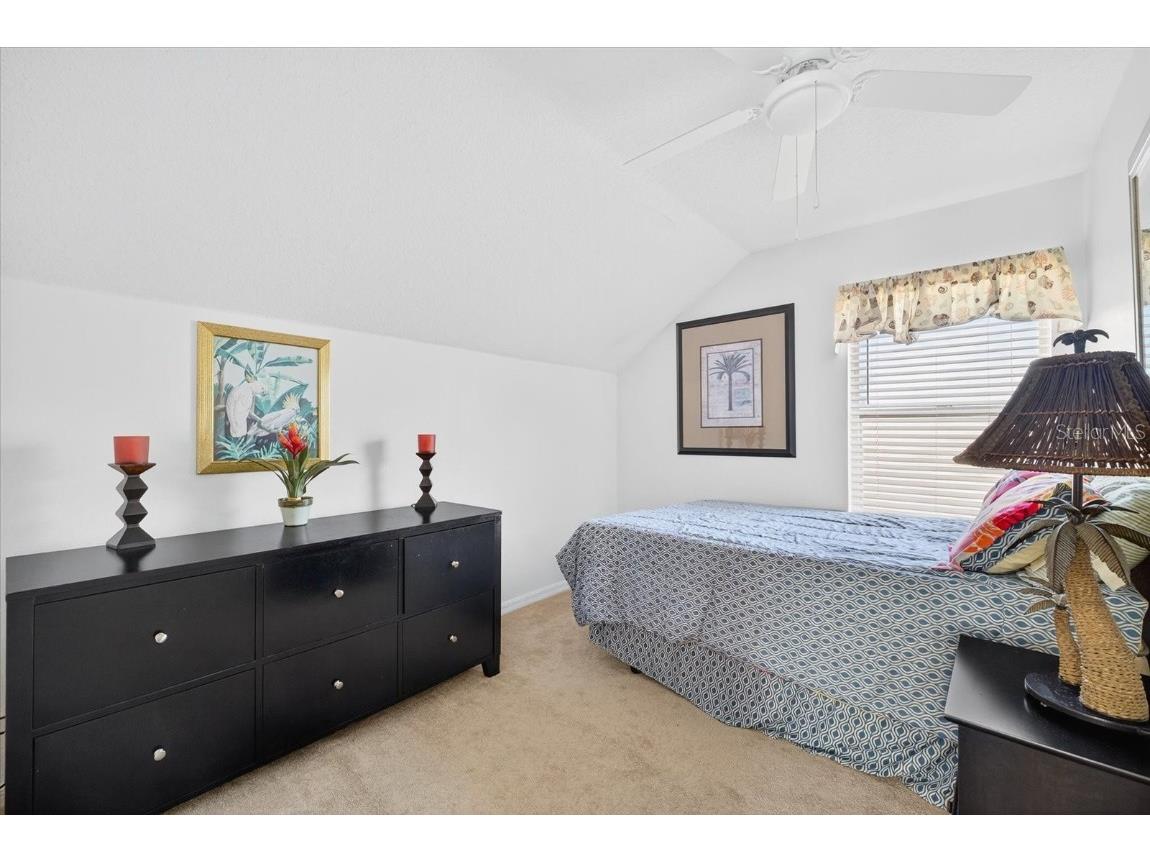 8459 Hawbuck Street Trinity FL 34655 TB8445645 image14