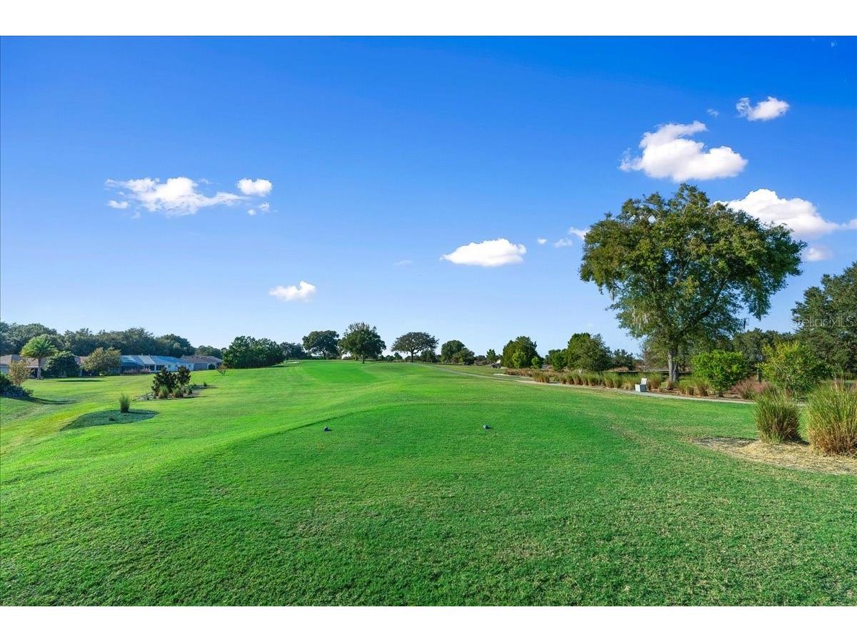 8459 SW 84th Loop Ocala FL 34481 OM725300 image44