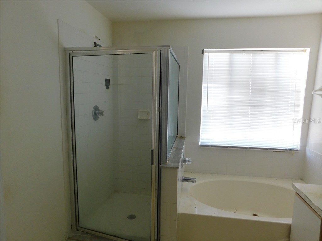 846 Burlwood Street Brandon FL 33511 W7876725 image13