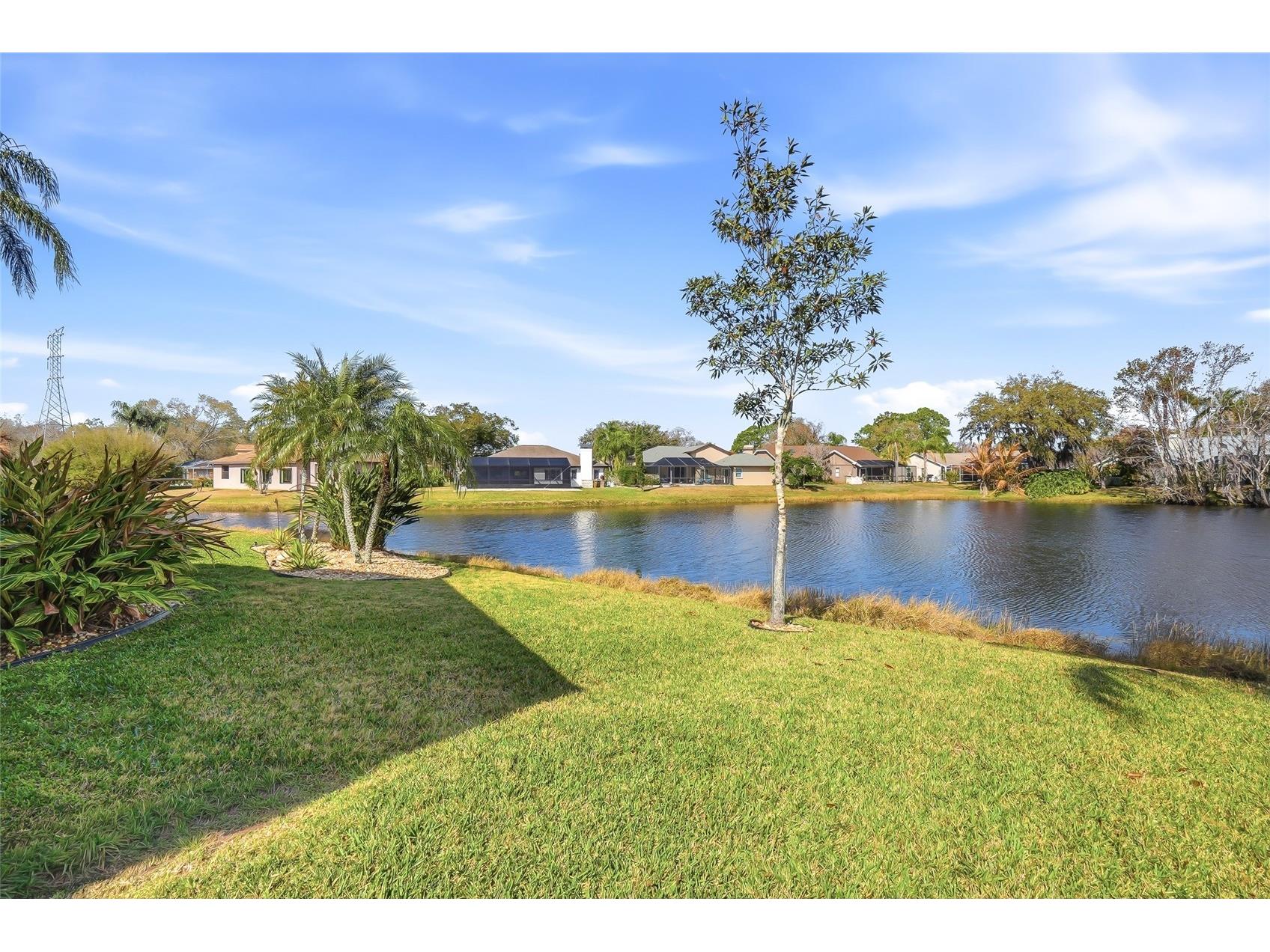 846 Centerwood Drive Tarpon Springs FL 34688 TB8478531 image56