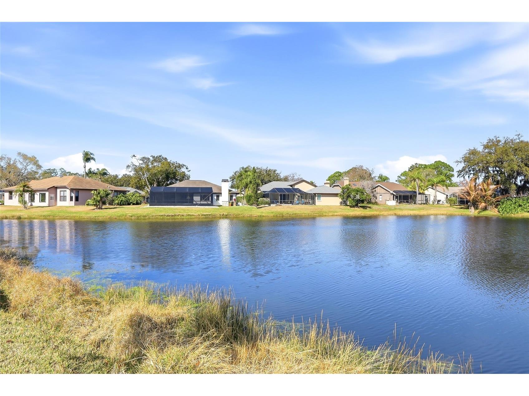 846 Centerwood Drive Tarpon Springs FL 34688 TB8478531 image57