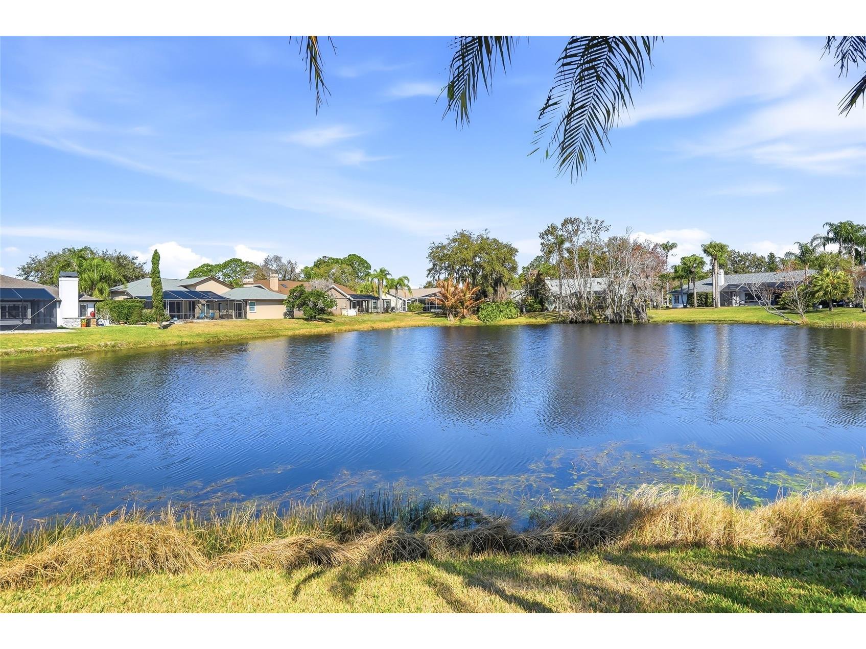 846 Centerwood Drive Tarpon Springs FL 34688 TB8478531 image58