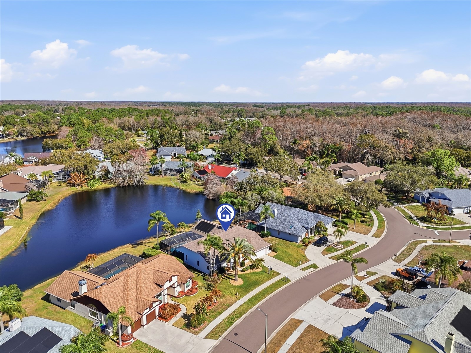 846 Centerwood Drive Tarpon Springs FL 34688 TB8478531 image60