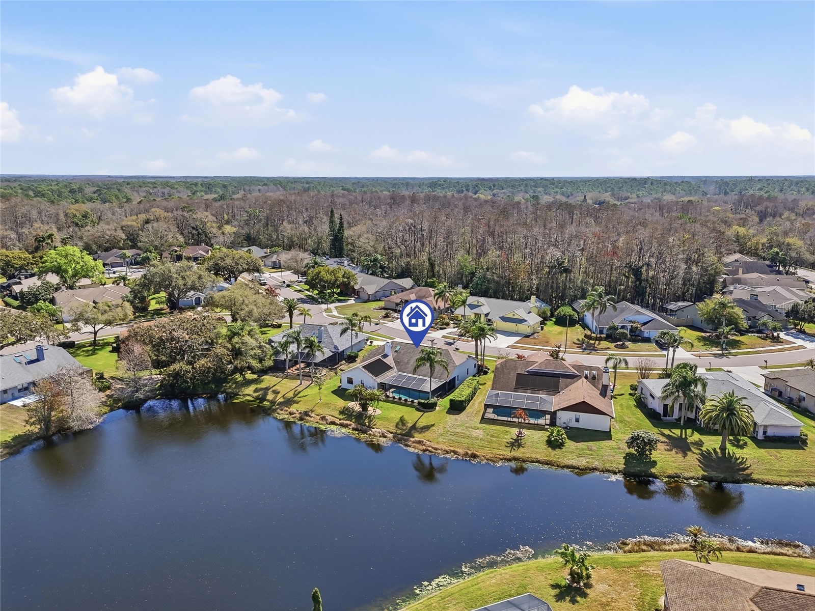 846 Centerwood Drive Tarpon Springs FL 34688 TB8478531 image61