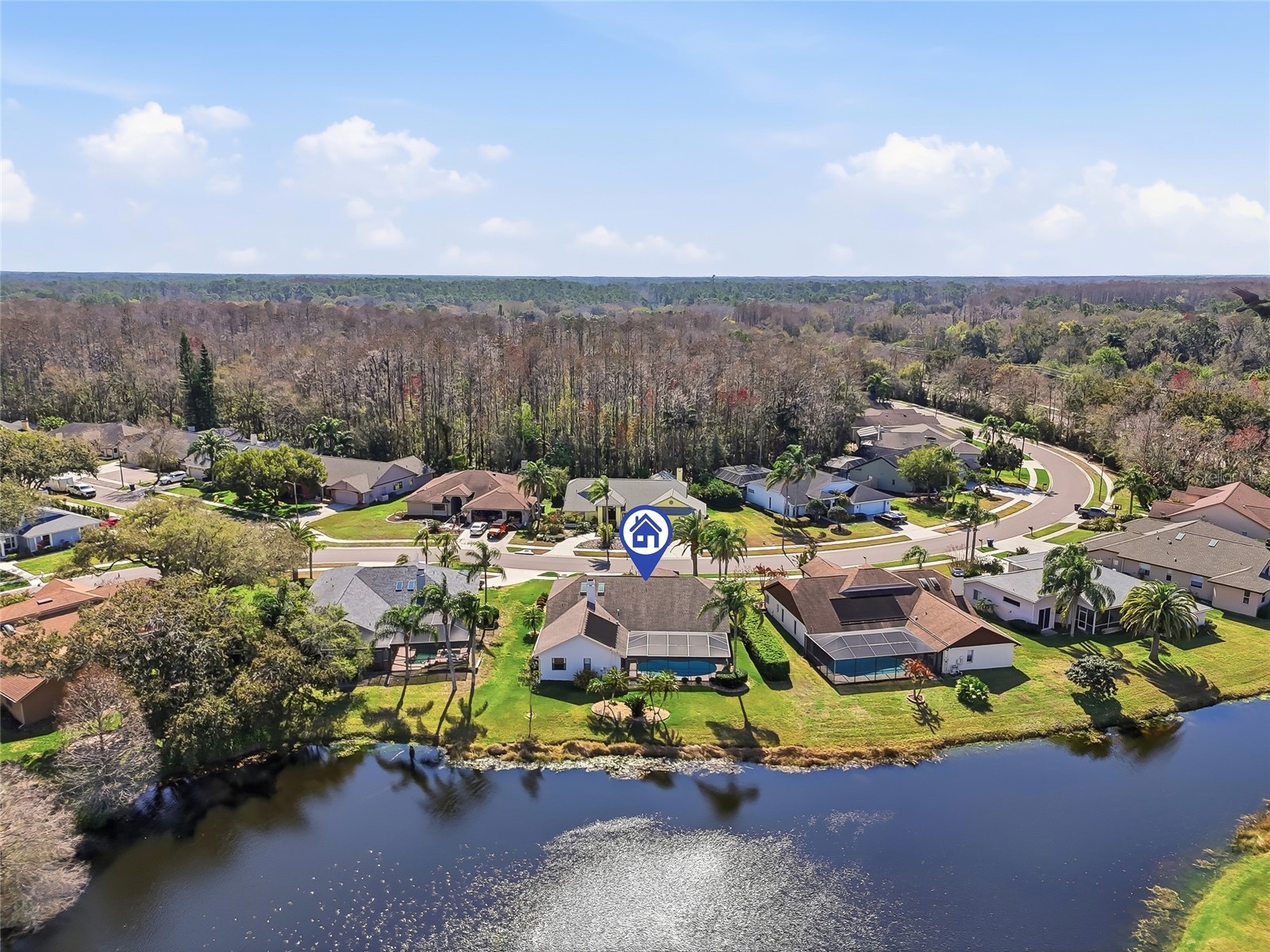 846 Centerwood Drive Tarpon Springs FL 34688 TB8478531 image62