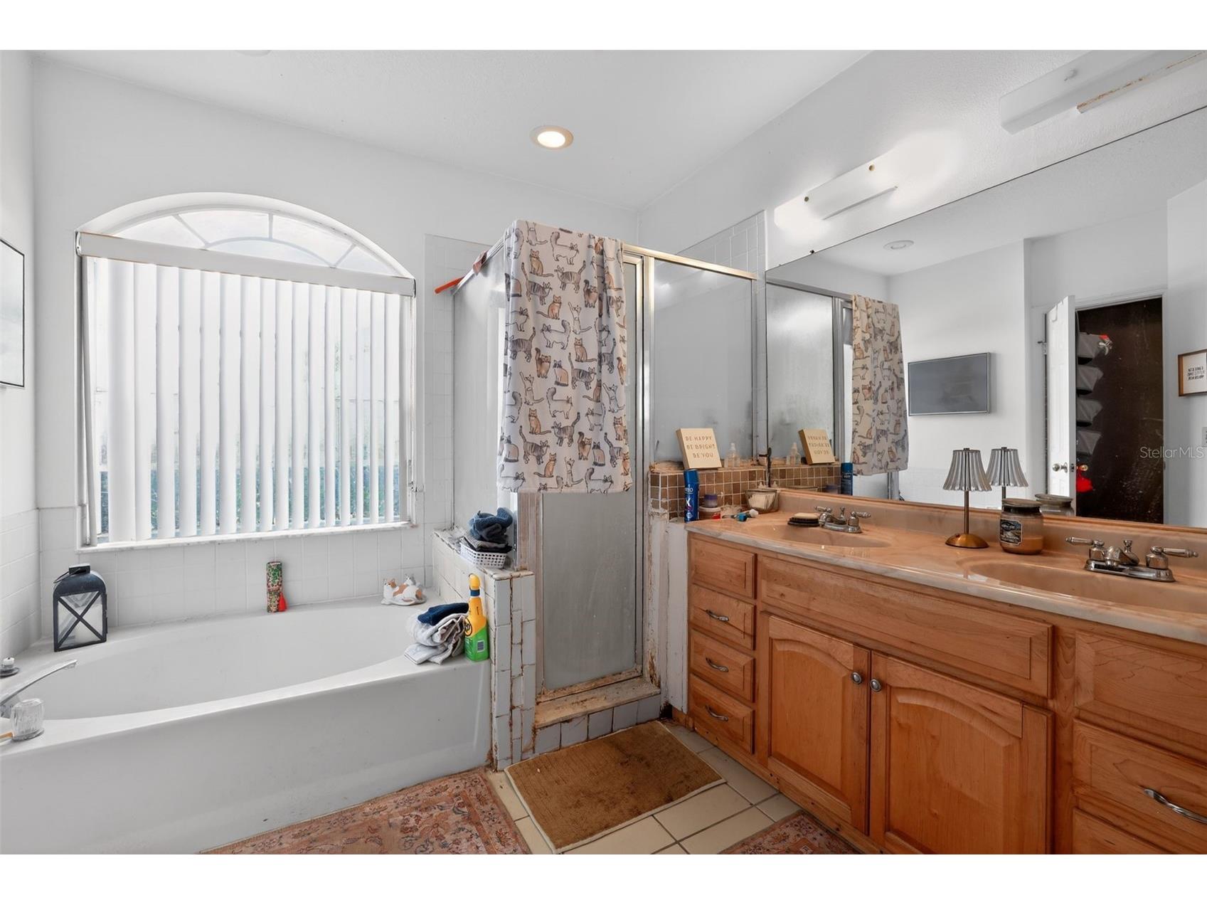 846 Greenbelt Circle Brandon FL 33510 A4694989 image25