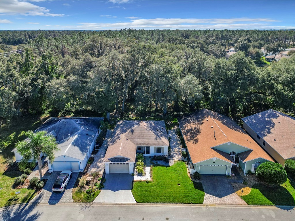846 Old Oaks Lane Leesburg FL 34748 U8227718 image1