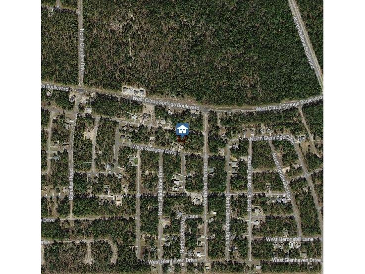 846 W Hemlock Drive Citrus Springs FL 34434 W7881490 image3