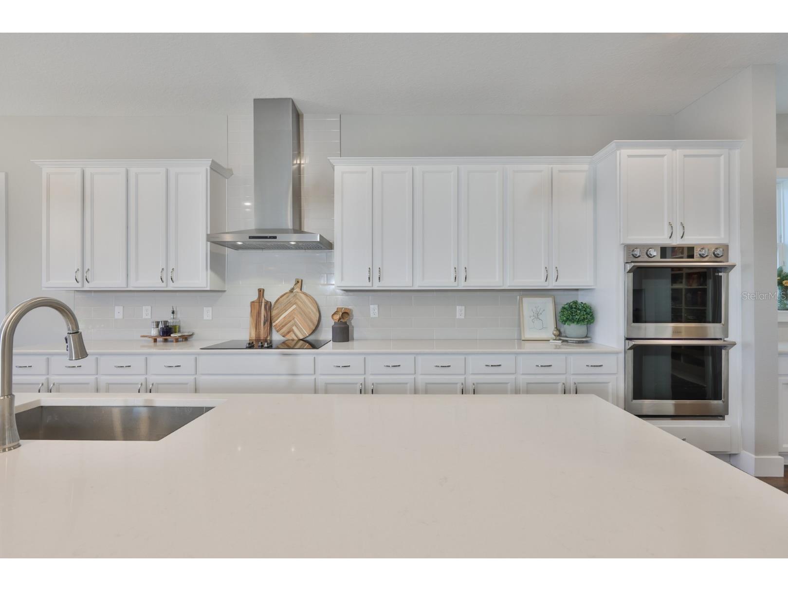 8462 Ivy Stark Boulevard Wesley Chapel FL 33545 TB8486567 image21