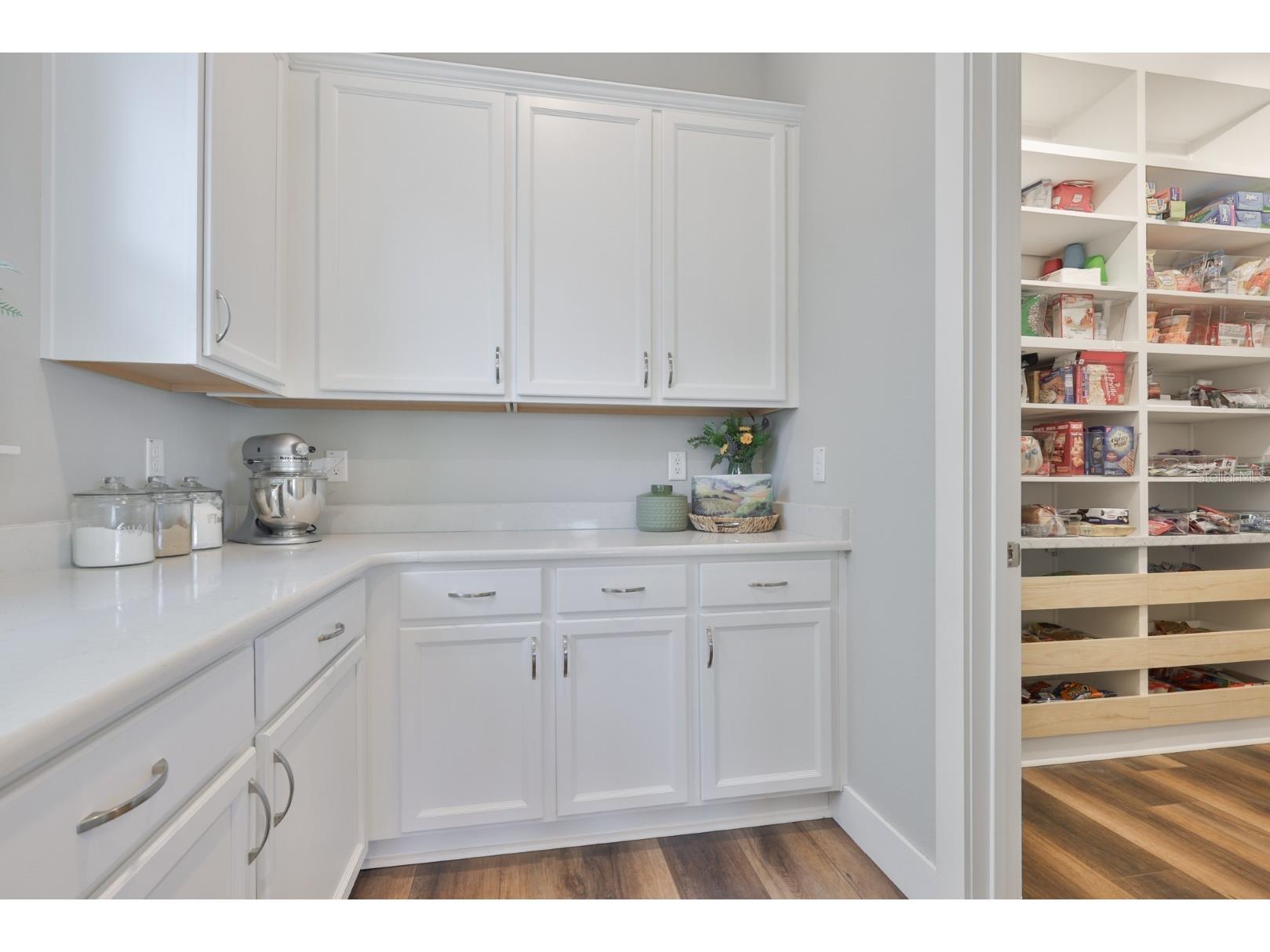 8462 Ivy Stark Boulevard Wesley Chapel FL 33545 TB8486567 image22