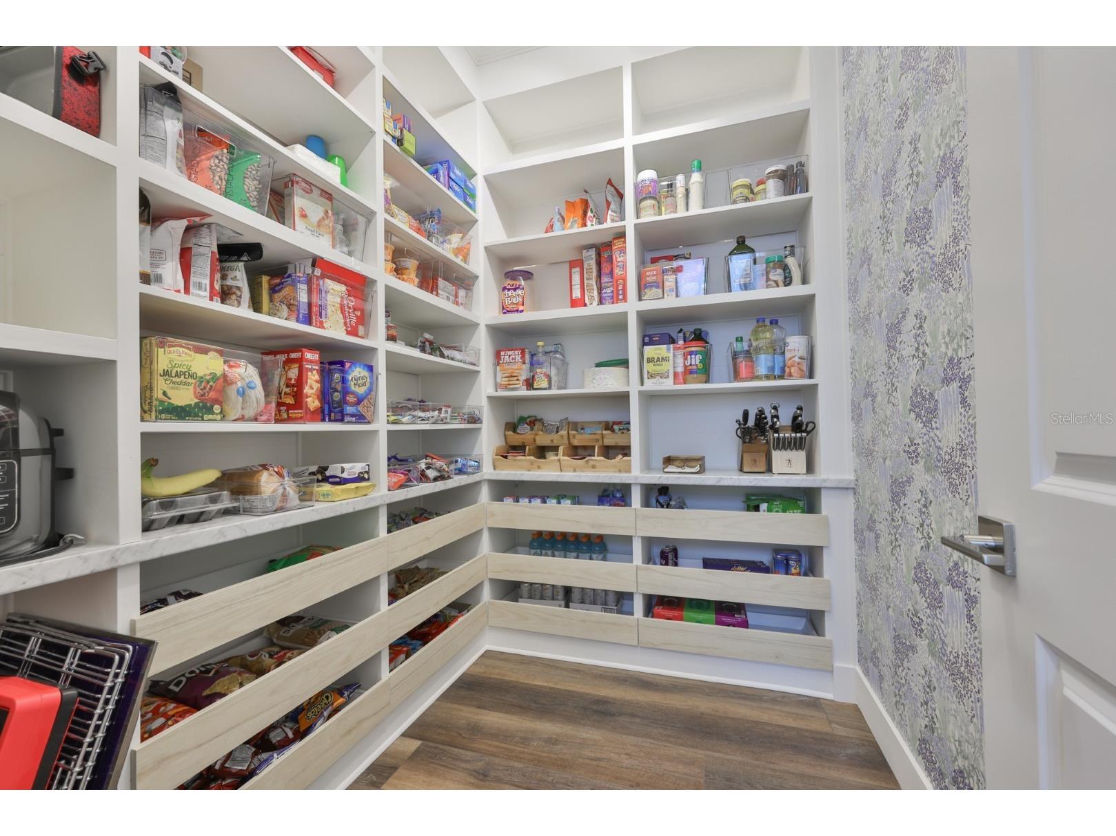 8462 Ivy Stark Boulevard Wesley Chapel FL 33545 TB8486567 image23