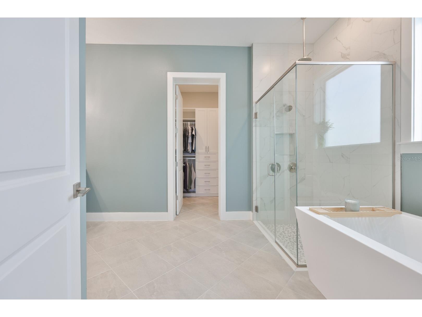 8462 Ivy Stark Boulevard Wesley Chapel FL 33545 TB8486567 image28