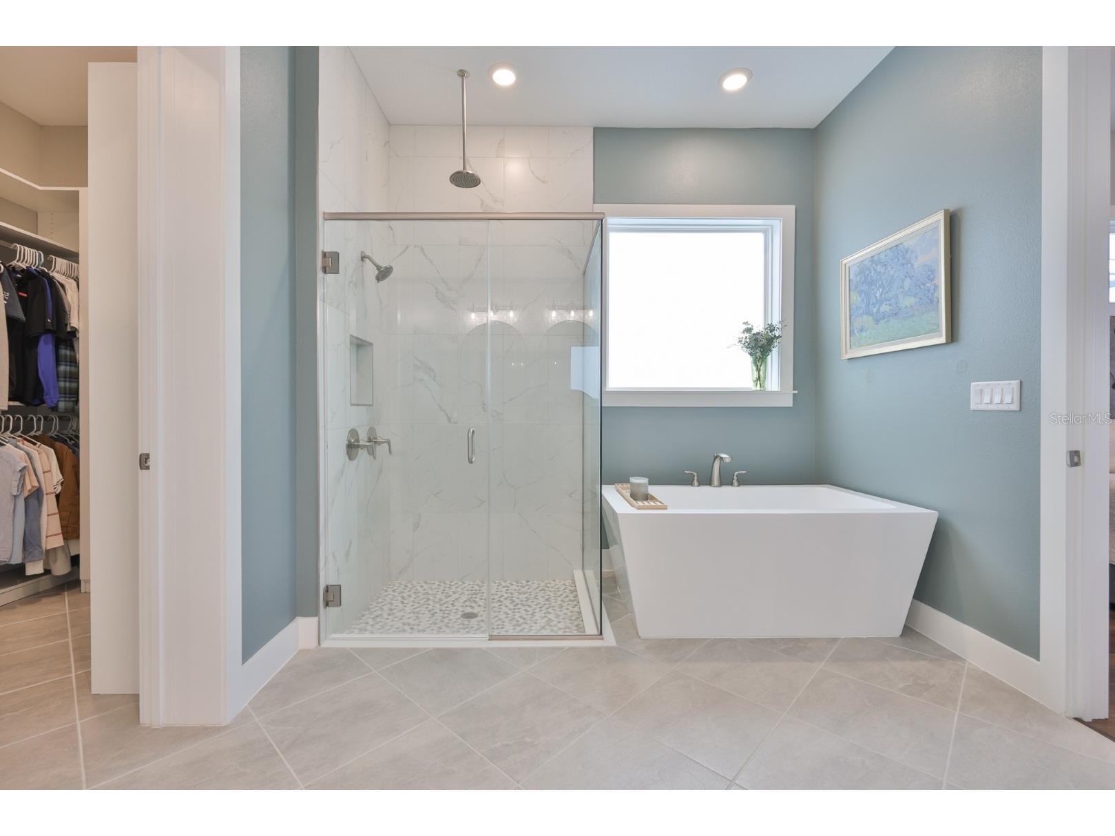 8462 Ivy Stark Boulevard Wesley Chapel FL 33545 TB8486567 image30