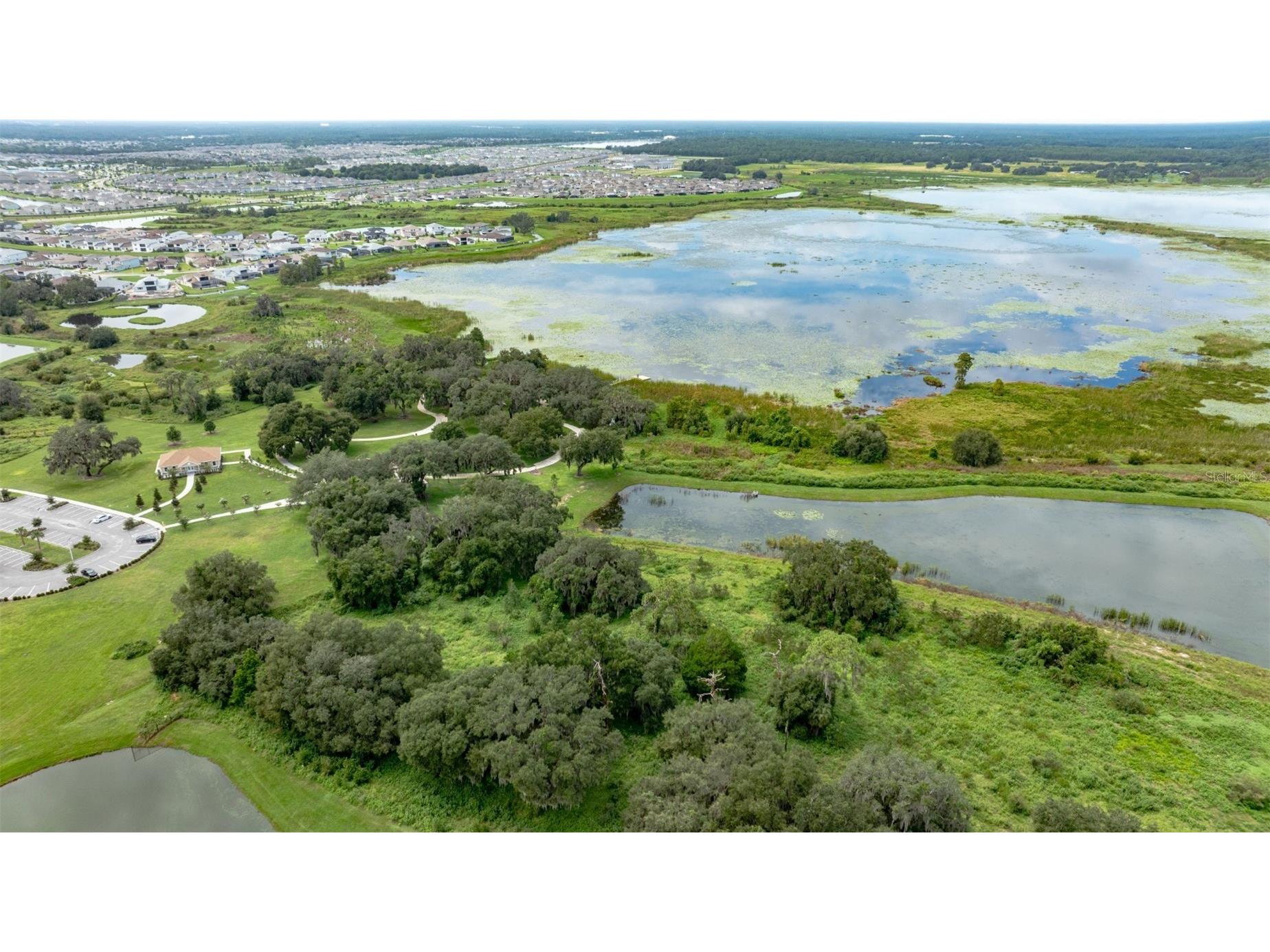 8462 Ivy Stark Boulevard Wesley Chapel FL 33545 TB8486567 image65