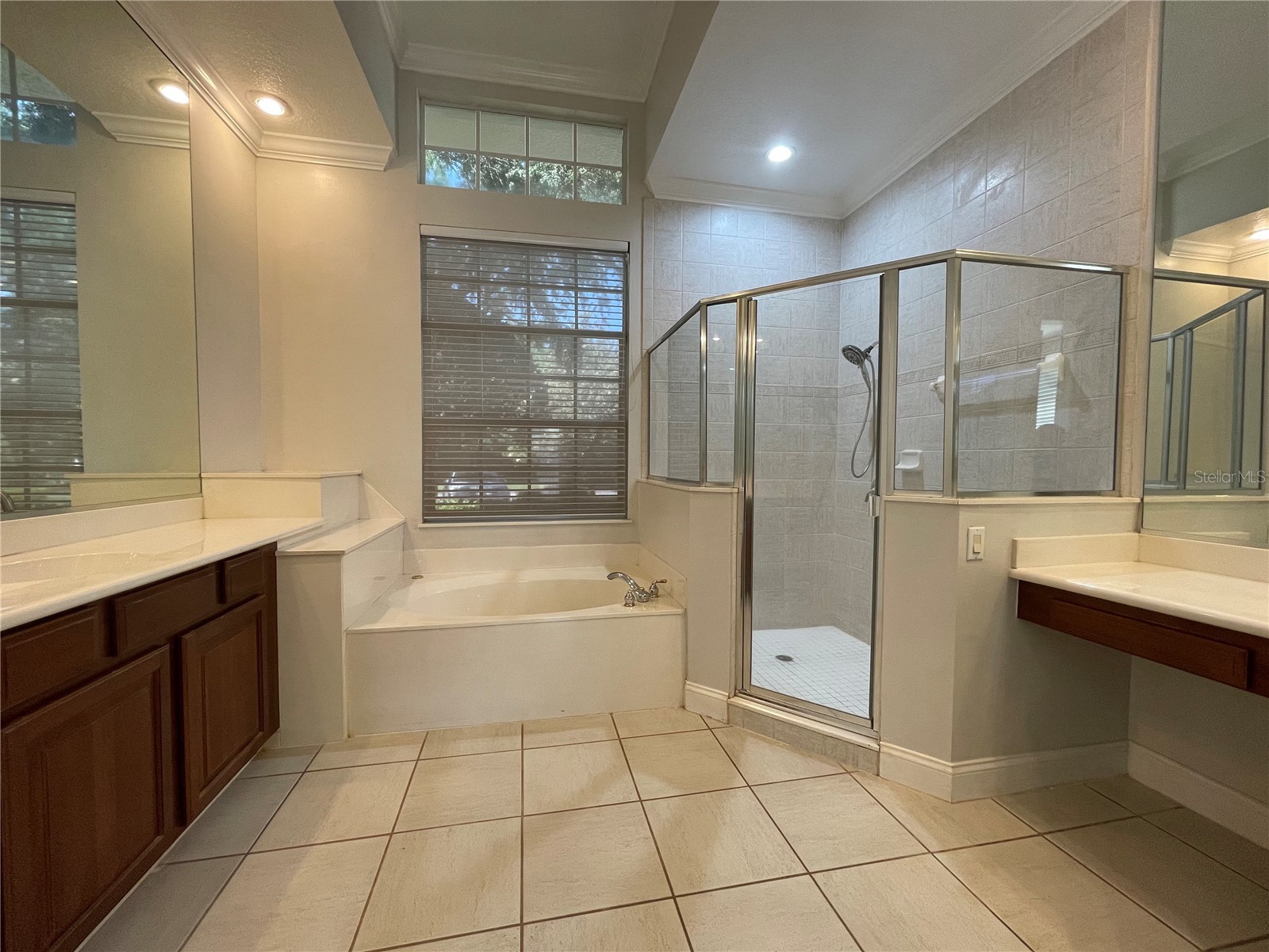 8463 Tibet Butler Dr Windermere FL 34786 - LAKE BURDEN O6413065 image13